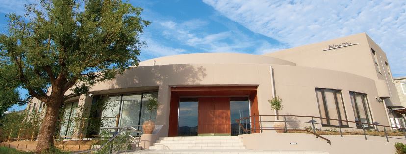 パルムドール学園南